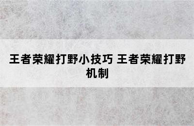 王者荣耀打野小技巧 王者荣耀打野机制